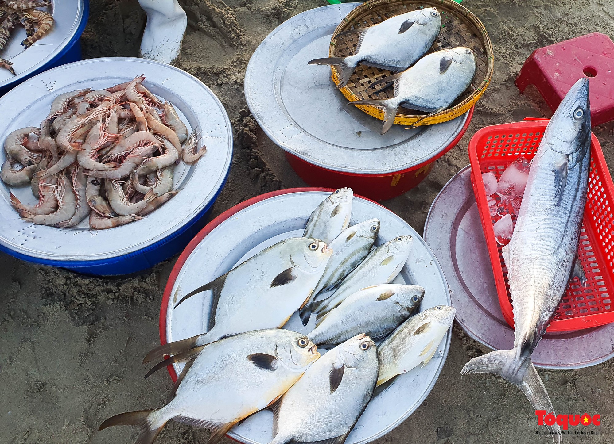 Ghé chợ hải sản tươi rói bên bờ biển Đà Nẵng lúc bình minh - Ảnh 10.
