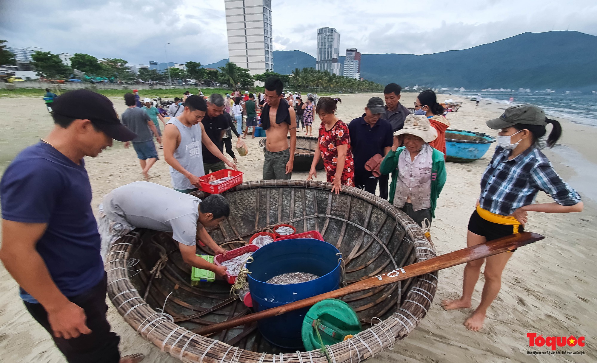 Ghé chợ hải sản tươi rói bên bờ biển Đà Nẵng lúc bình minh - Ảnh 3.