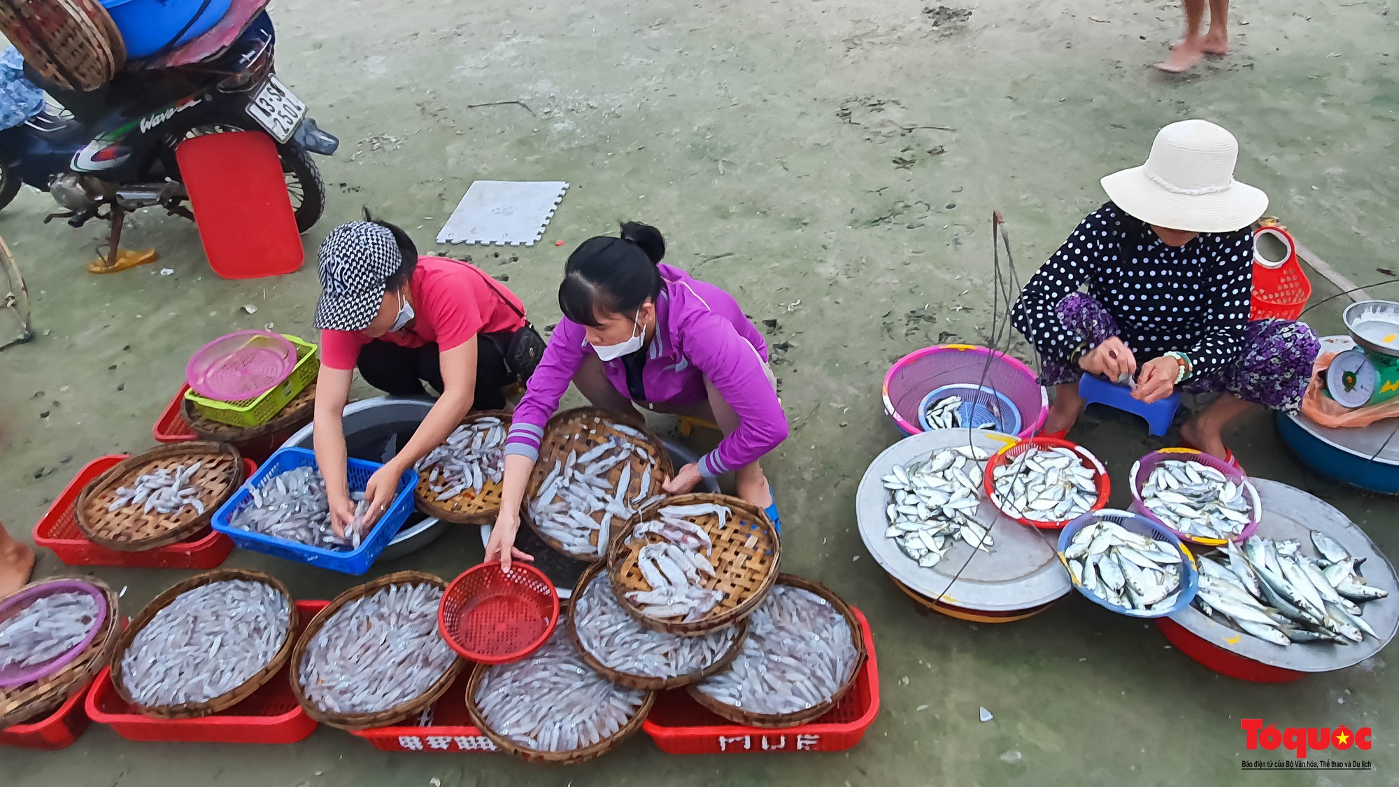 Ghé chợ hải sản tươi rói bên bờ biển Đà Nẵng lúc bình minh - Ảnh 7.