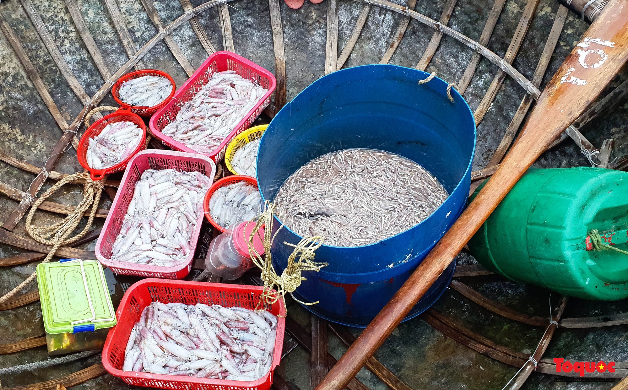 Ghé chợ hải sản tươi rói bên bờ biển Đà Nẵng lúc bình minh - Ảnh 4.