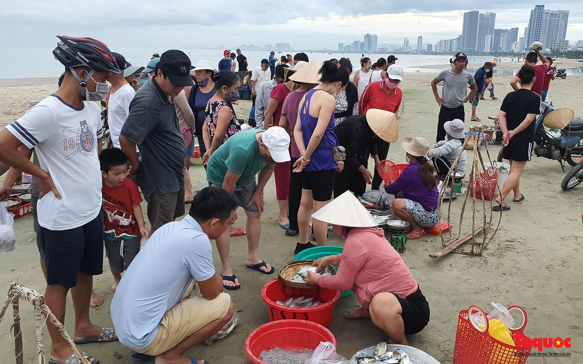 Ghé chợ hải sản tươi rói bên bờ biển Đà Nẵng lúc bình minh - Ảnh 6.