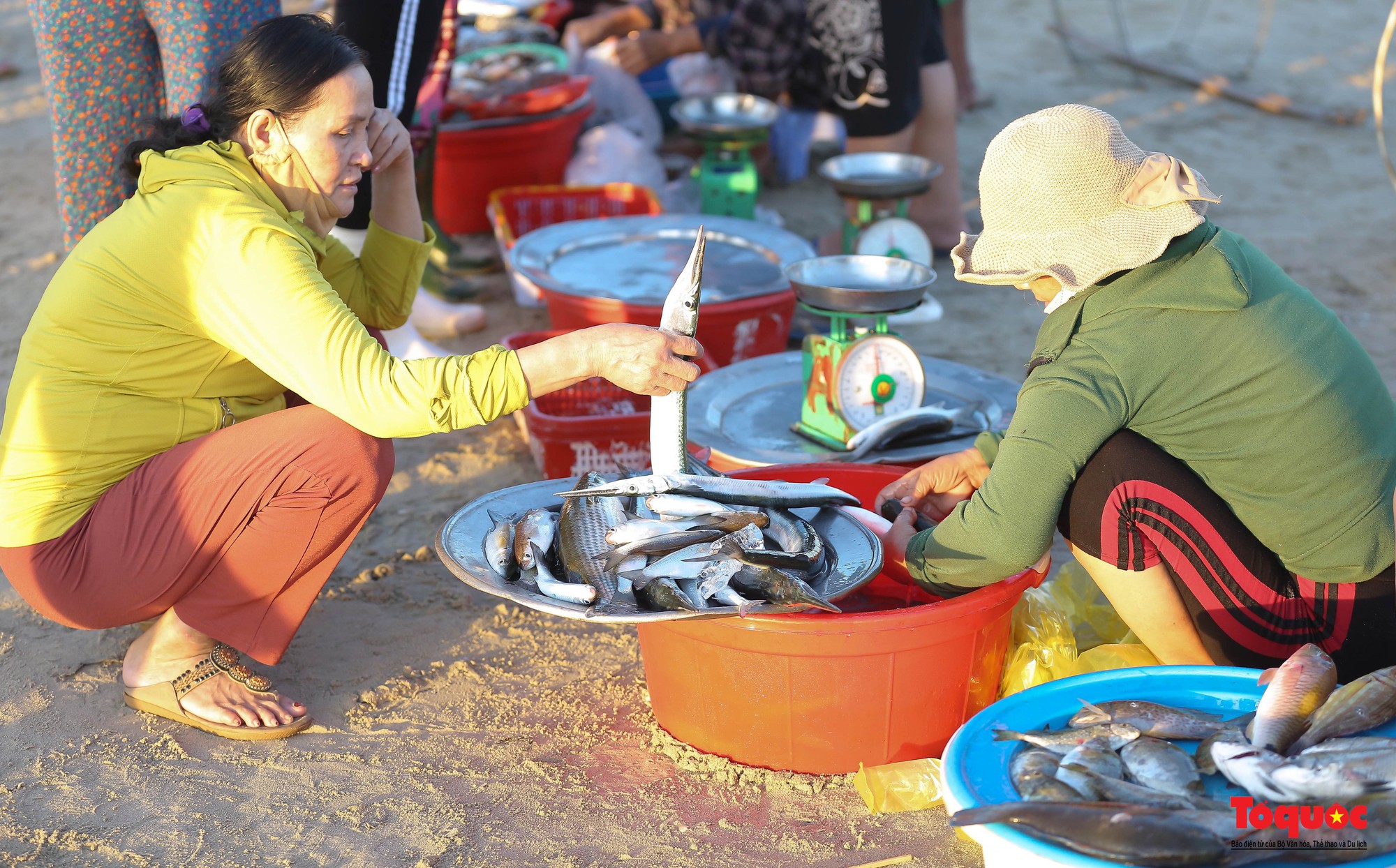Ghé chợ hải sản tươi rói bên bờ biển Đà Nẵng lúc bình minh - Ảnh 9.