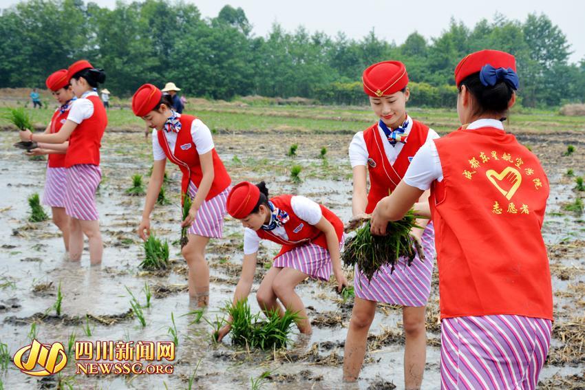 Ngỡ ngàng với thời trang áo ôm, quần tất đi trồng rau của cô gái Trung Quốc - 6